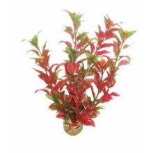 SuperFish Easy Plant Middle 20cm - 6 - 515240