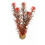 SuperFish SuperFish Easy Plant Middle 20cm - 7 - 515245 1