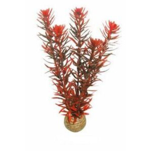 SuperFish SuperFish Easy Plant Middle 20cm - 7 - 515245