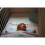 Extra Large Super Soft Muslins - Animal Designs - Gift Boxed 4-Pack 6