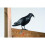 Pigeon scarer crow black garden ornament 1