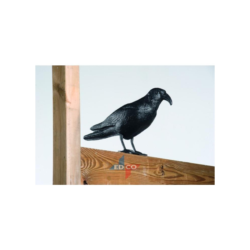 Pigeon scarer crow black garden ornament