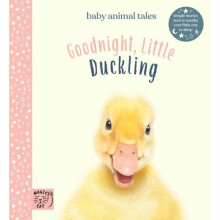 Goodnight, Little Duckling - Book