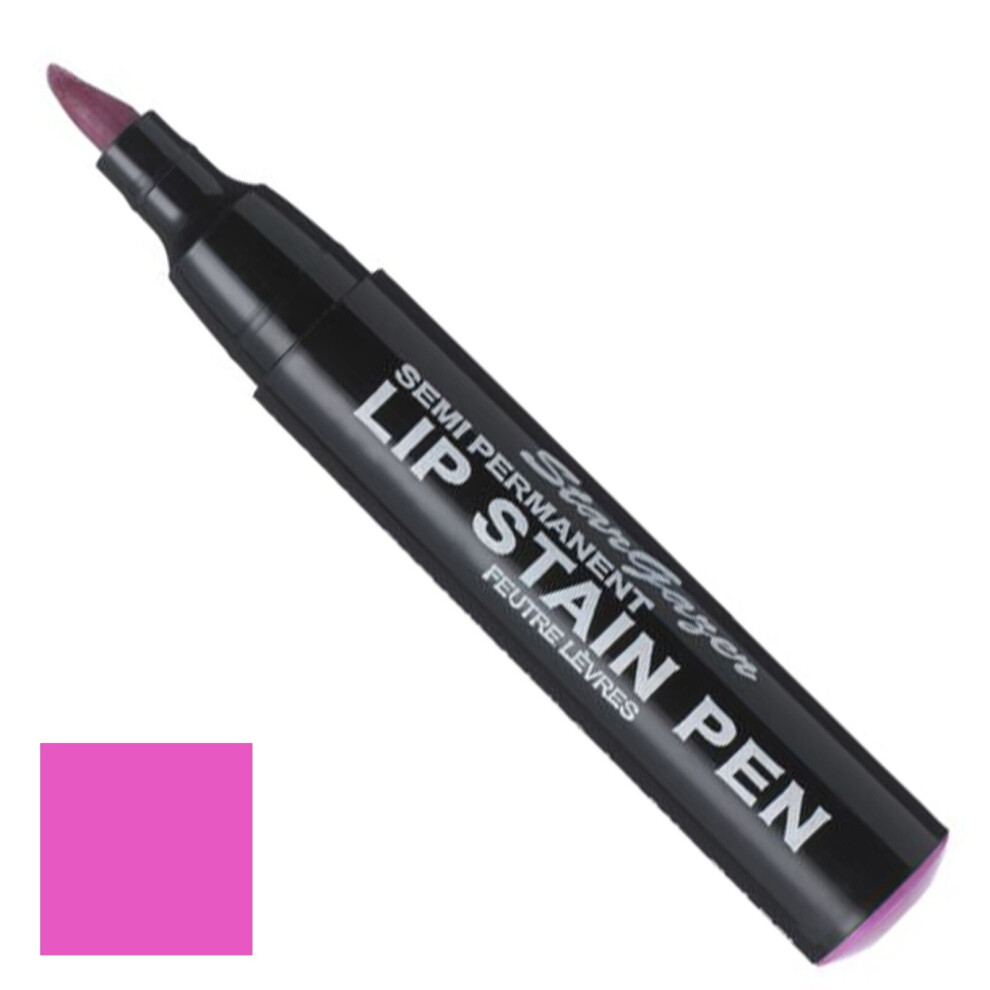 Stargazer No1 Pale Pink Lip Stain Pen