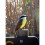 Celestron Celestron Regal M2 100ED Spotting Scope with 22-67x Eyepiece (Angled Viewing) 15