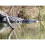 Celestron Celestron Regal M2 100ED Spotting Scope with 22-67x Eyepiece (Angled Viewing) 12