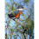 Celestron Celestron Regal M2 100ED Spotting Scope with 22-67x Eyepiece (Angled Viewing) 18