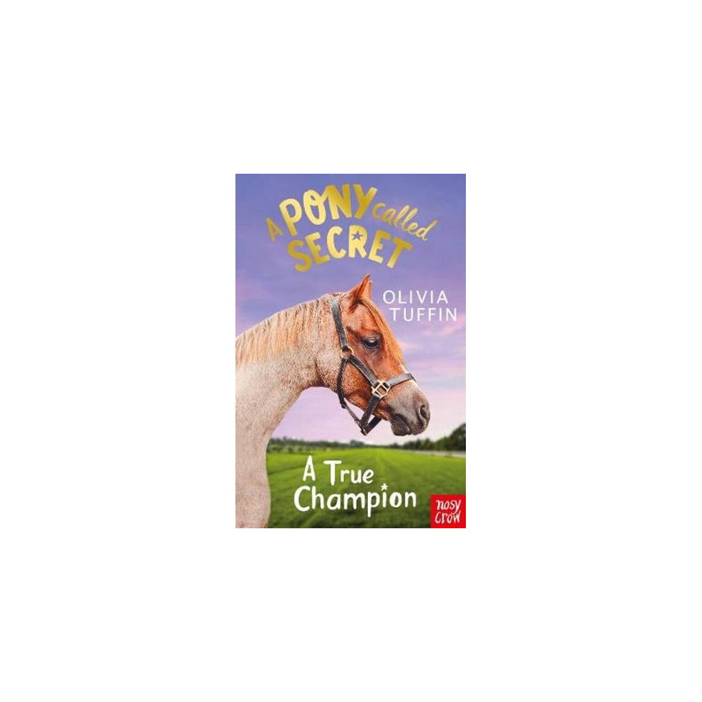 A Pony Called Secret: A True Champion