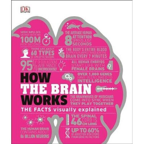 How the Brain Works