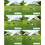 Hühner Freilauf 4m x 2m x 2m 2