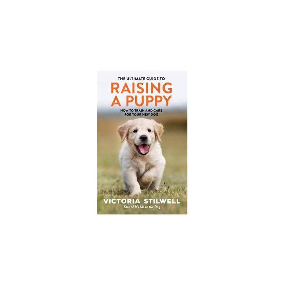 The Ultimate Guide to Raising a Puppy