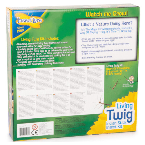 Living Twig Stick Insect Kit 1