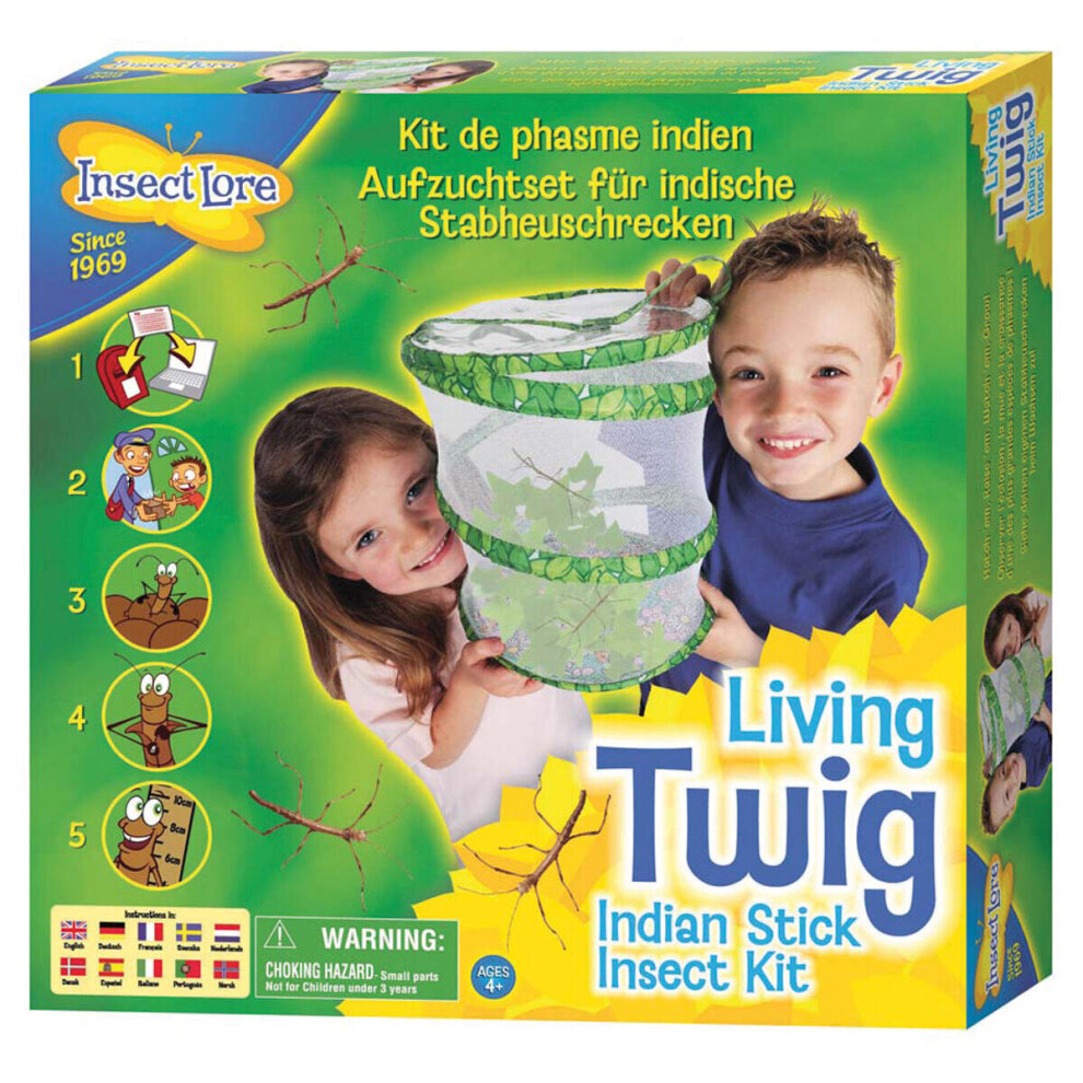 Living Twig Stick Insect Kit