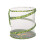 Living Twig Stick Insect Kit 3