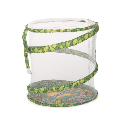 Living Twig Stick Insect Kit 2