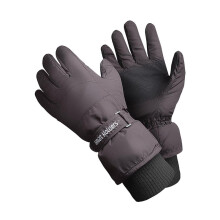 (S/M, Schwarz) Heat Holders - Heat Holders Herren Thinsulate Skihandschuhe Thermo Handschuhe