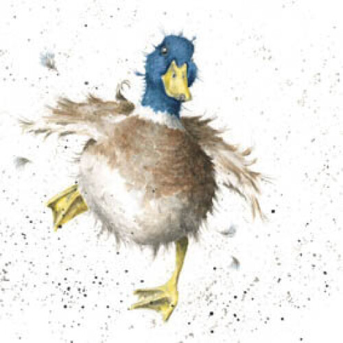 Wrendale The Country Set - A Waddle And A Quack