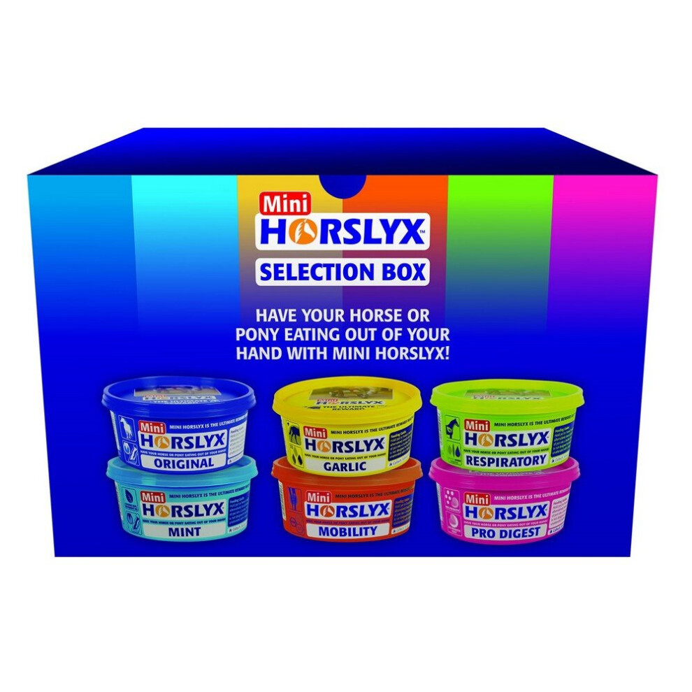 Mini Horslyx Selection Box Six Individual 650g Licks Gift box Xmas Present - Image 4