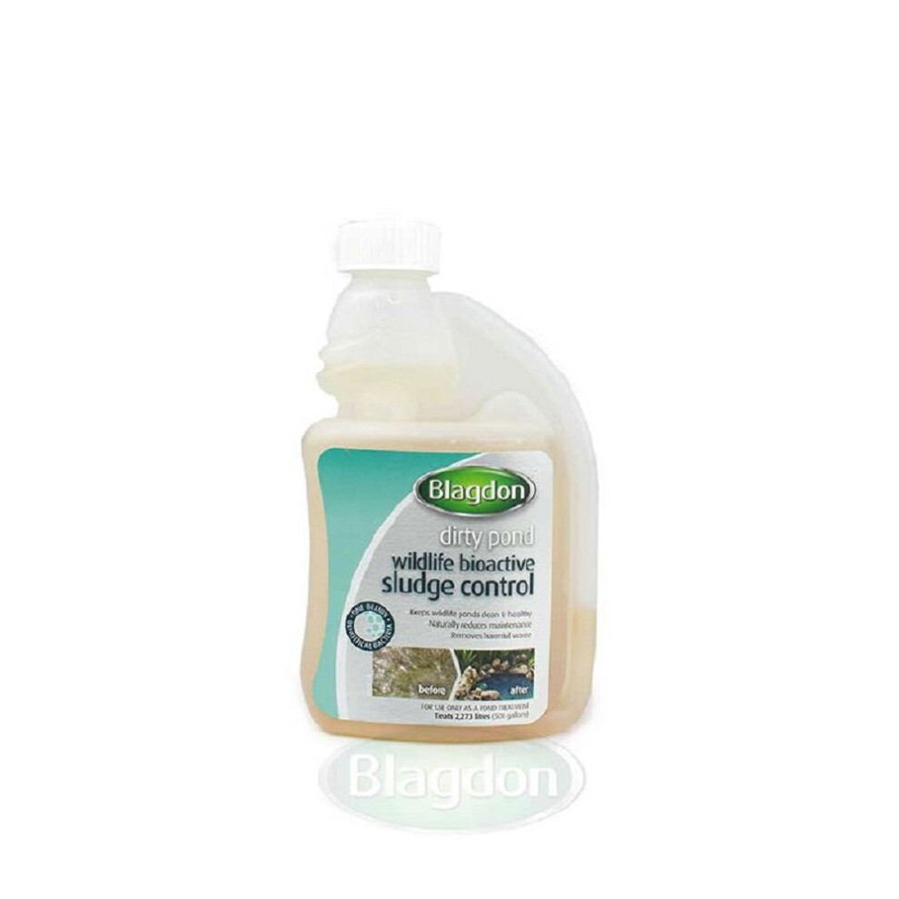 Blagdon Pond Bioactive Sludge Control Liquid