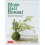 Moss Ball Bonsai 1