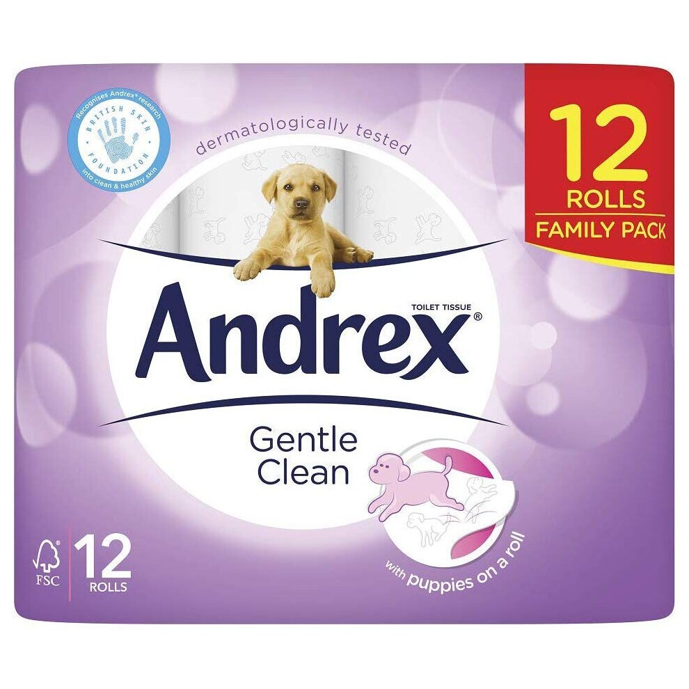 Andrex Gentle Clean Toilet Roll - 12 Rolls