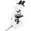 Celestron CELESTRON LABS CB2000CF Compound Binocular Microscope with 4.3 x 4.7" Mechanical Stage 5