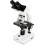 Celestron CELESTRON LABS CB2000CF Compound Binocular Microscope with 4.3 x 4.7" Mechanical Stage 1