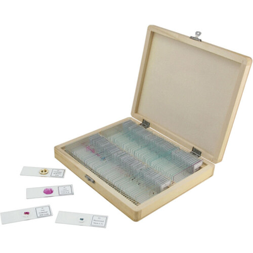 Celestron Celestron 100-Piece Prepared Microscope Slide Kit (Wooden Case)
