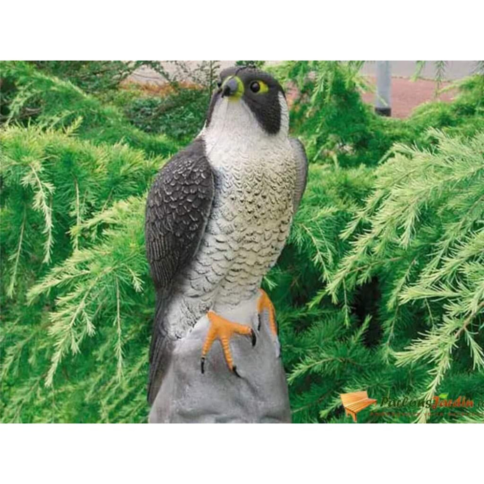 Ubbink Animal Figure Falcon 40cm Garden Lawn Pond Decorative Figurine Ornament