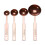 Premier Housewares Alchemist Rose Gold Measuring Spoons 1