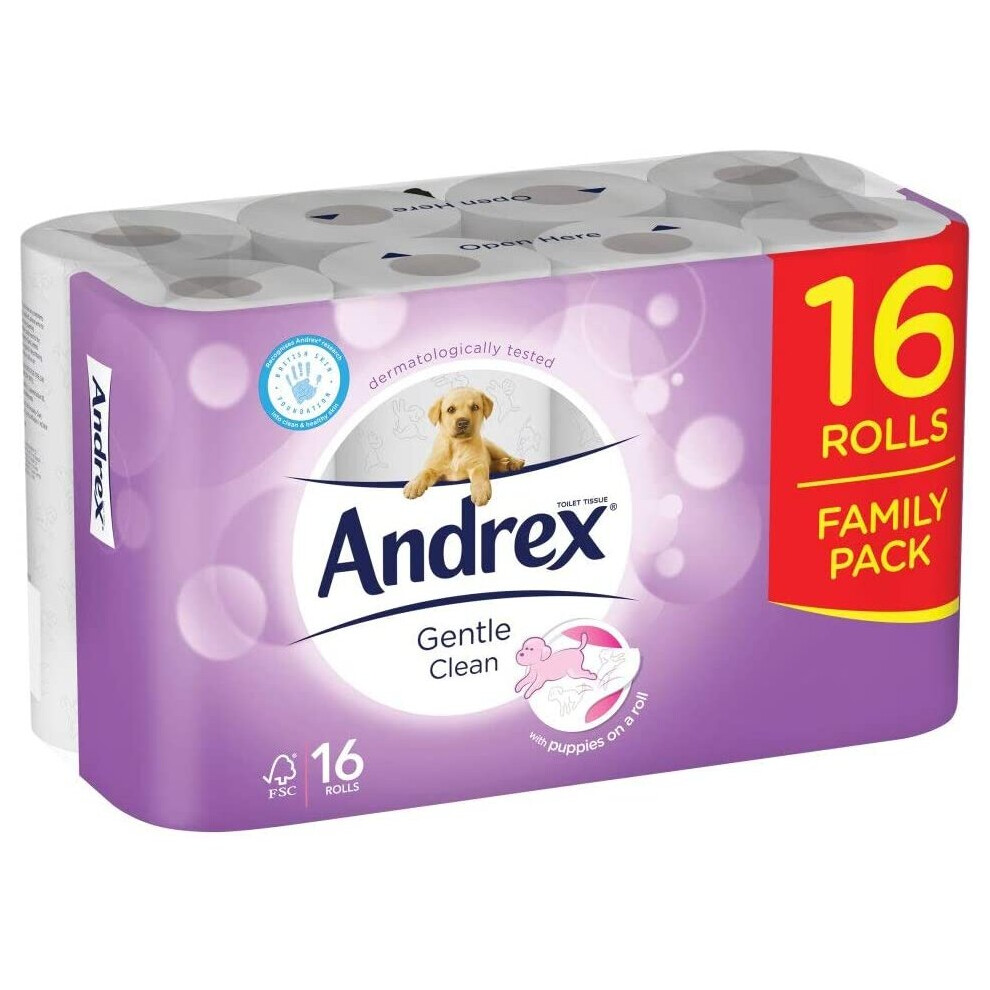Andrex Gentle Clean (Pack Of 16 Family Pack)