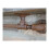 (76 cm Wide) Steampunk Rusted Pipework Wooden Shelf 3