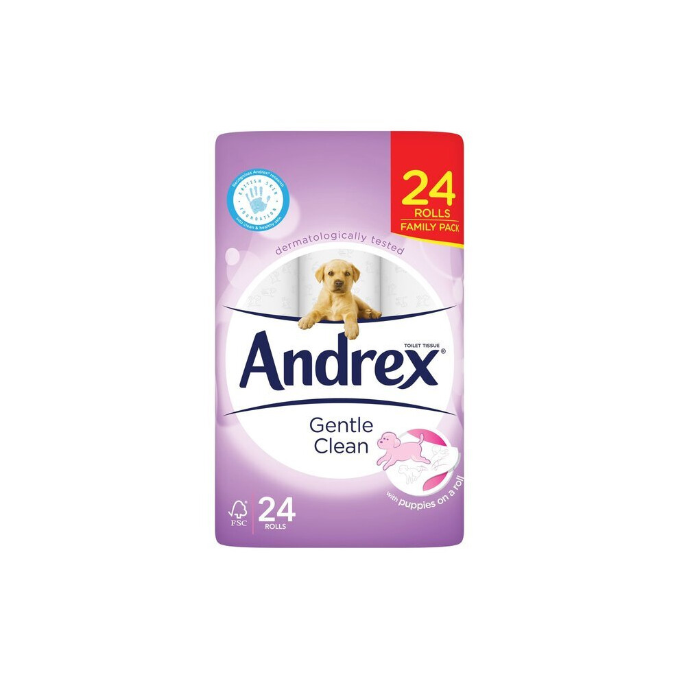 24 PACK ANDREX GENTLE CLEAN TOILET ROLL WHITE