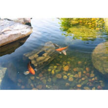 Aquascape 78324 Caverna para peixes em tronco falso