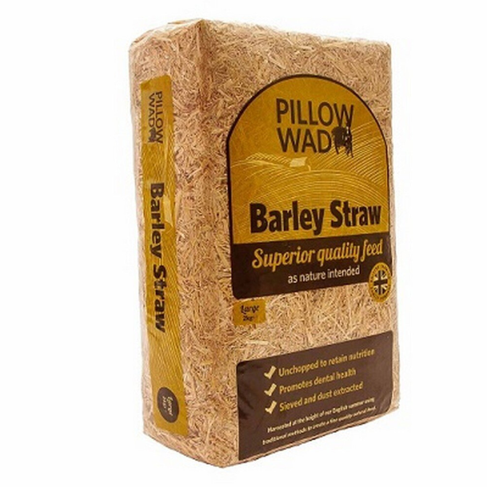 (3kg, Pale Gold) Pillow Wad Plant Barley Straw