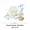 Pantene Pantene Hair Biology Conditioner Cleanse & Reconstruct 2