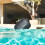 Sony Sony SRS-XB12 Portable Bluetooth Speaker (Black) 7