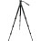 Celestron Celestron Regal Premium Tripod 2