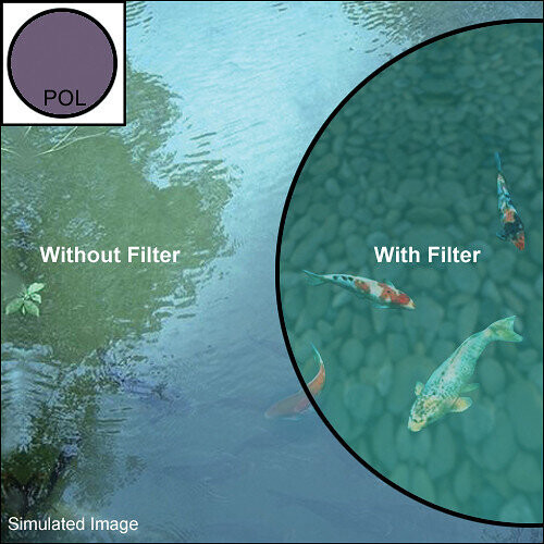 Hoya 49 mm HD Kreis-Polarisationsfilter 2