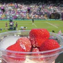 (Sleeve of 50) Environmentally Friendly Recyclable small plastic bowls 250ml