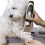 Cordless Dog Clippers | Electric Pet Grooming Kit 9