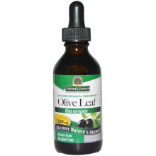Nature's Answer, Olivoljextrakt, Standardiserat, Alkoholfritt, 600 mg, 2 fl oz (60 ml)