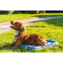 Rosewood Chill Core Mat Pet Dog Cat Cooling Bed Pad Medium 60 x 40cm