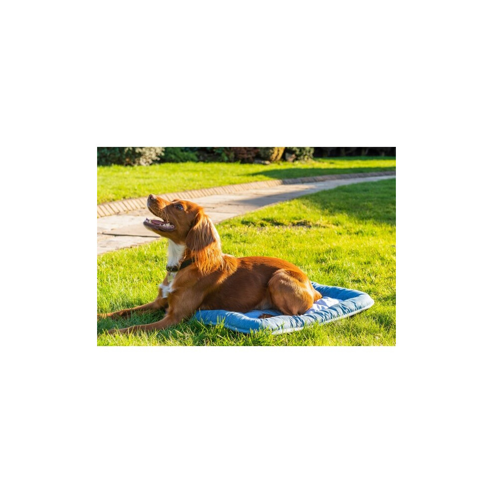 Rosewood Chill Core Mat Pet Dog Cat Cooling Bed Pad Medium 60 X 40Cm - Image 3