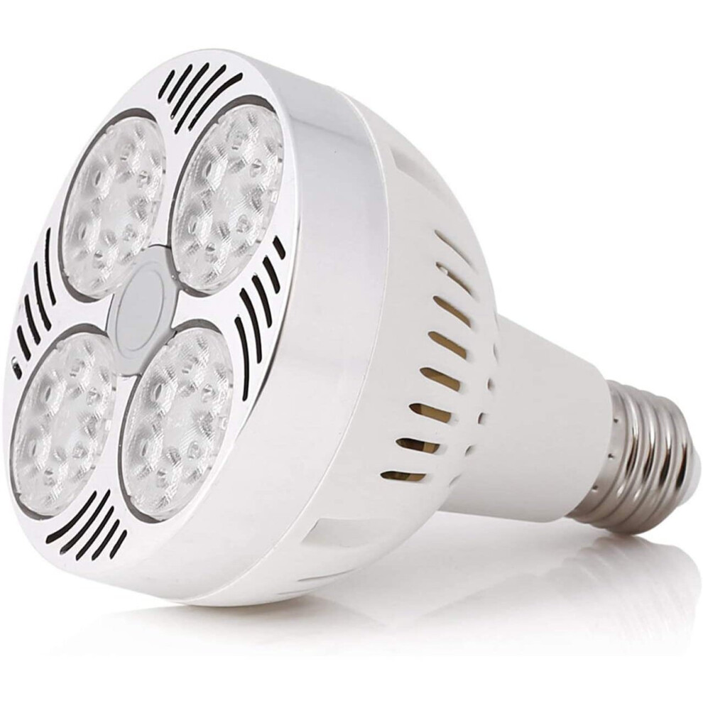 Ranpo PAR30 35W LED Spot Light E27 White 6000K 24LEDs Spotlight Bulbs-image-OPC-P5T6MPW-NEW