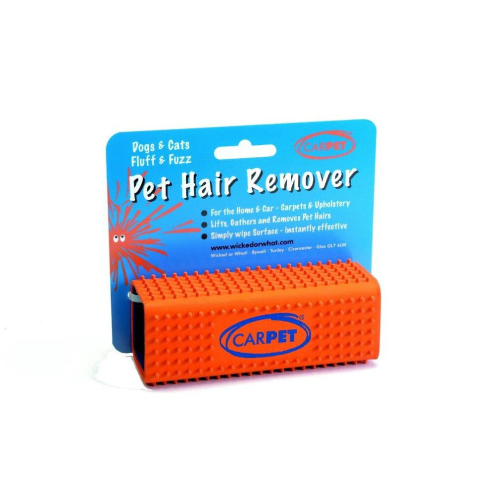 Pet Hair Removal Brush CarPet - Cleaning Fluff Dog Cat Horse Upholstery Carpets - Image 2