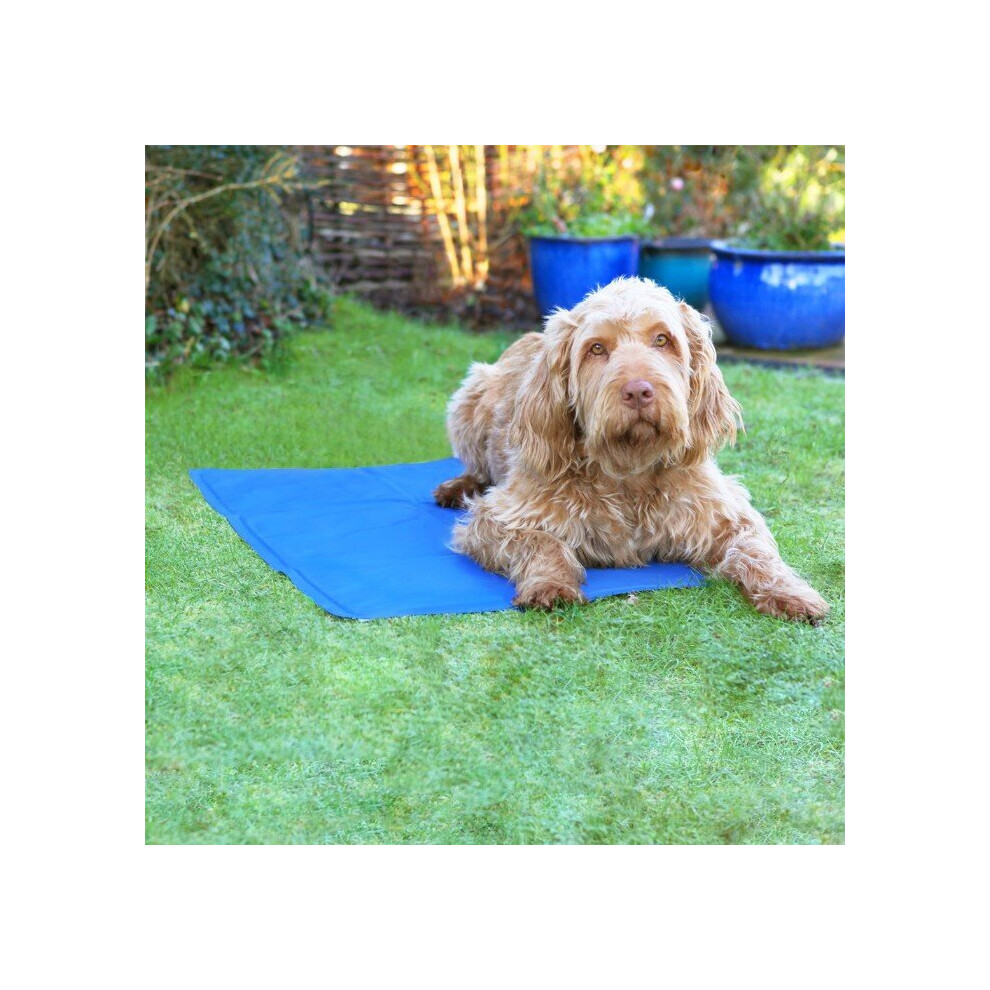 Rosewood Pet Cool Mat Medium (50cm x 65cm)