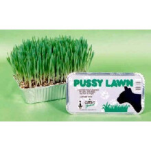 Pussy Lawn Natural Edible Indoor Grass For Pet Cat Dog Rabbit Hamster
