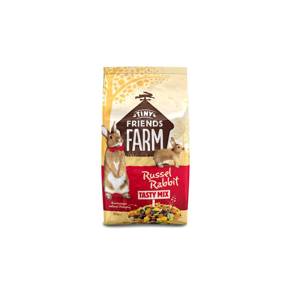 Tiny Friends Farm Russel Rabbit 850G