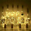 12pk Cork Bottle 20 LED Fairy Lights - 1m 6